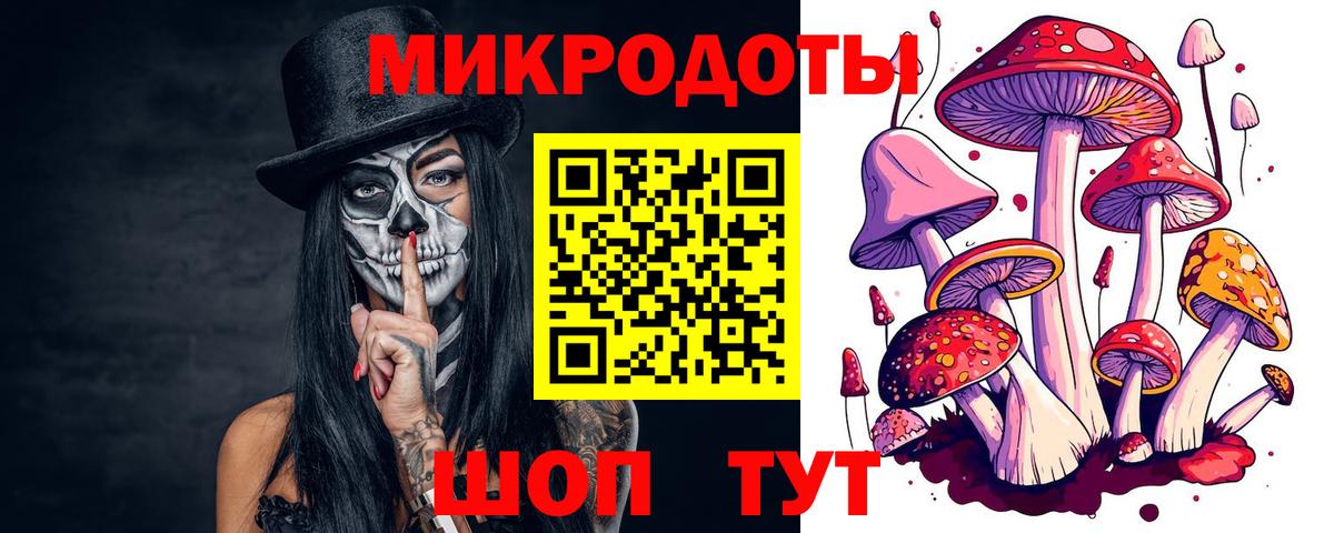 дарнет шоп  Галлюциногенные грибы мицелий  Вход с VPN  Ейск 